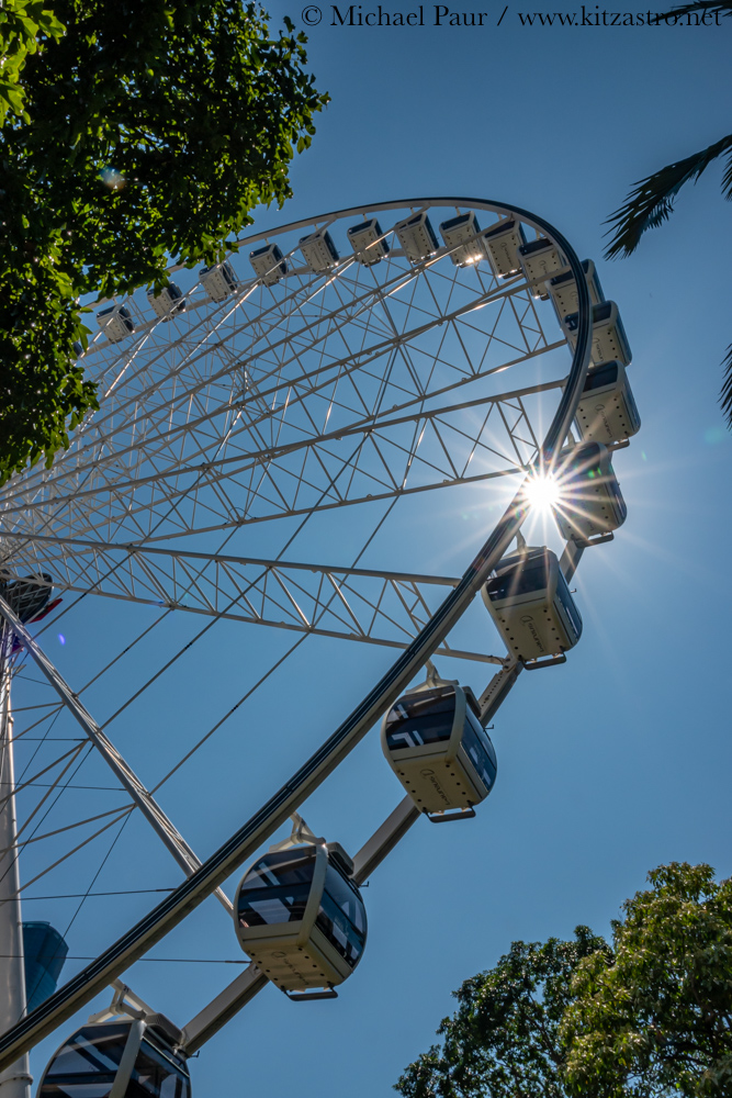 brisbane wheel