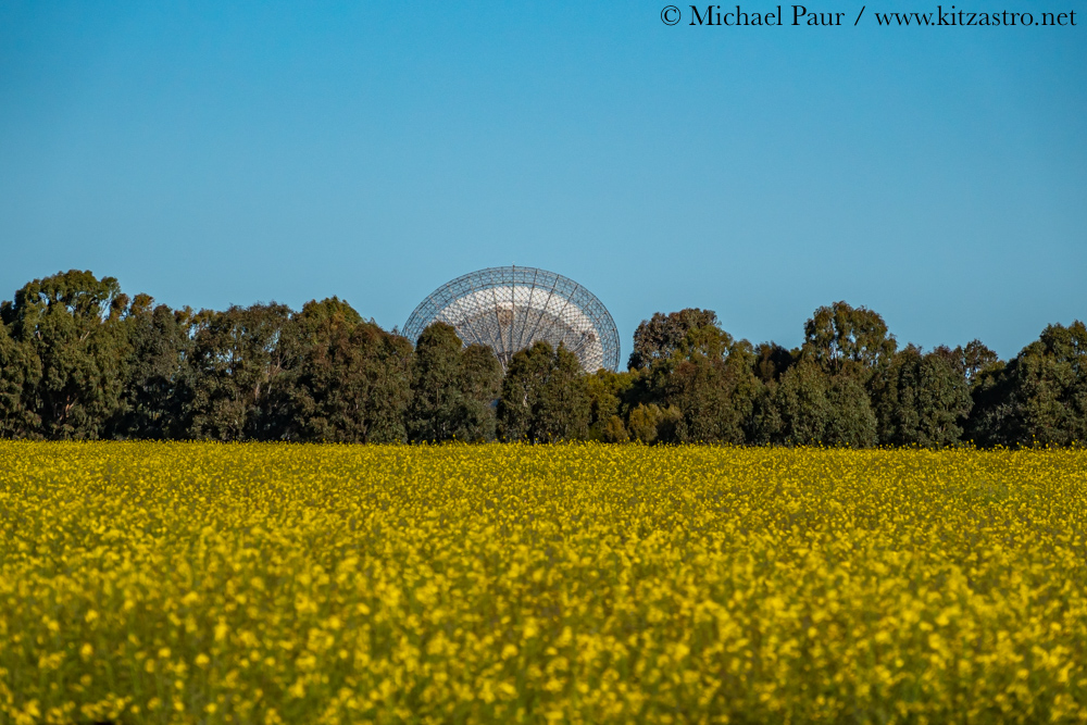 dish