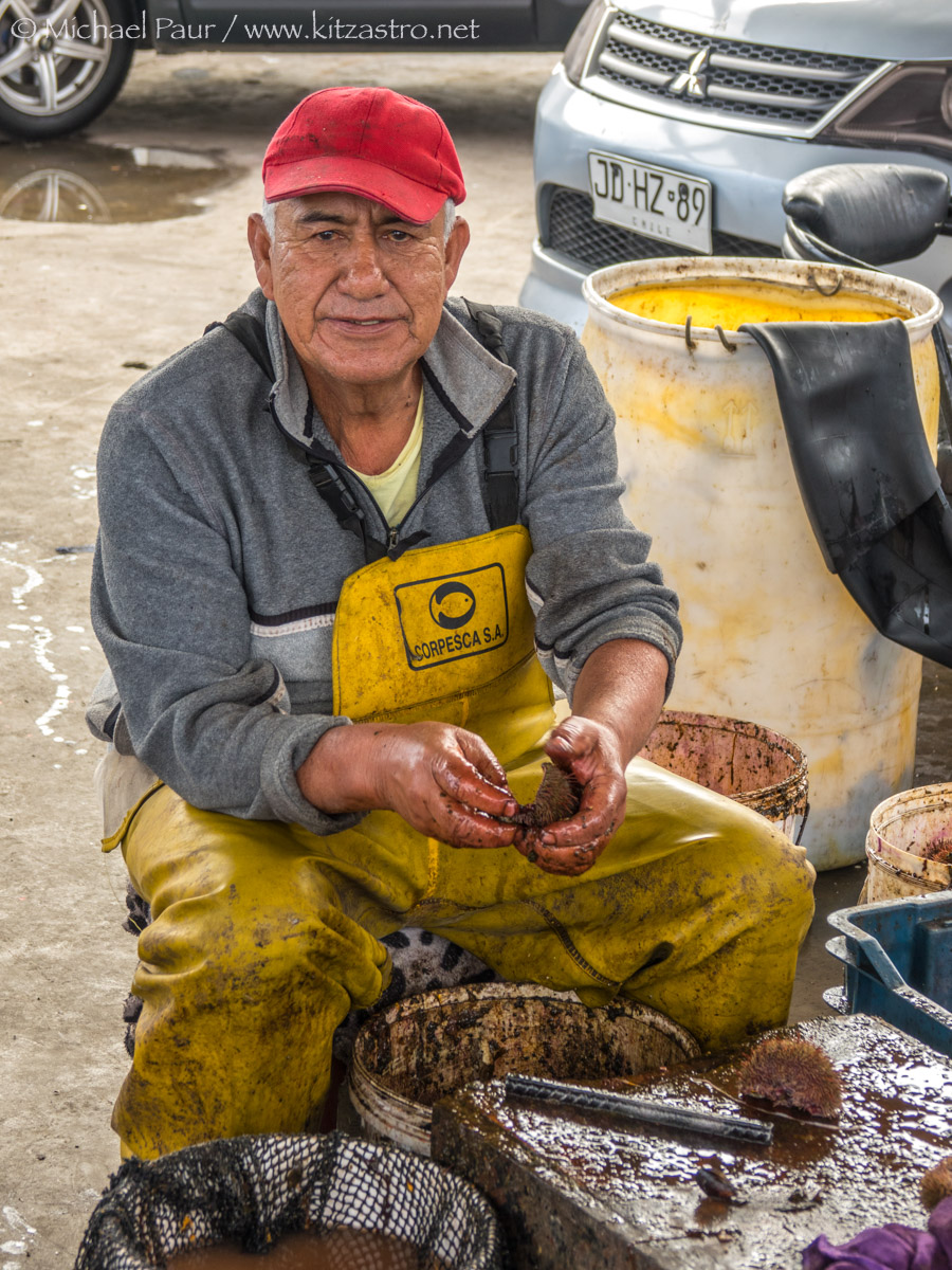 iquique