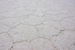 salar