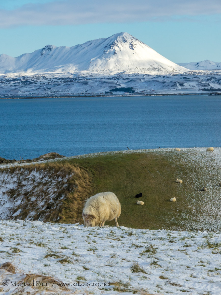 myvatn