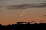 mcnaught