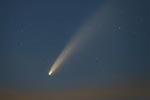 neowise