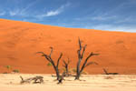 Deadvlei