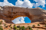 wilson arch