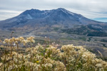 mt st helens