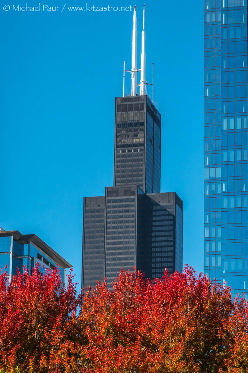 willis tower