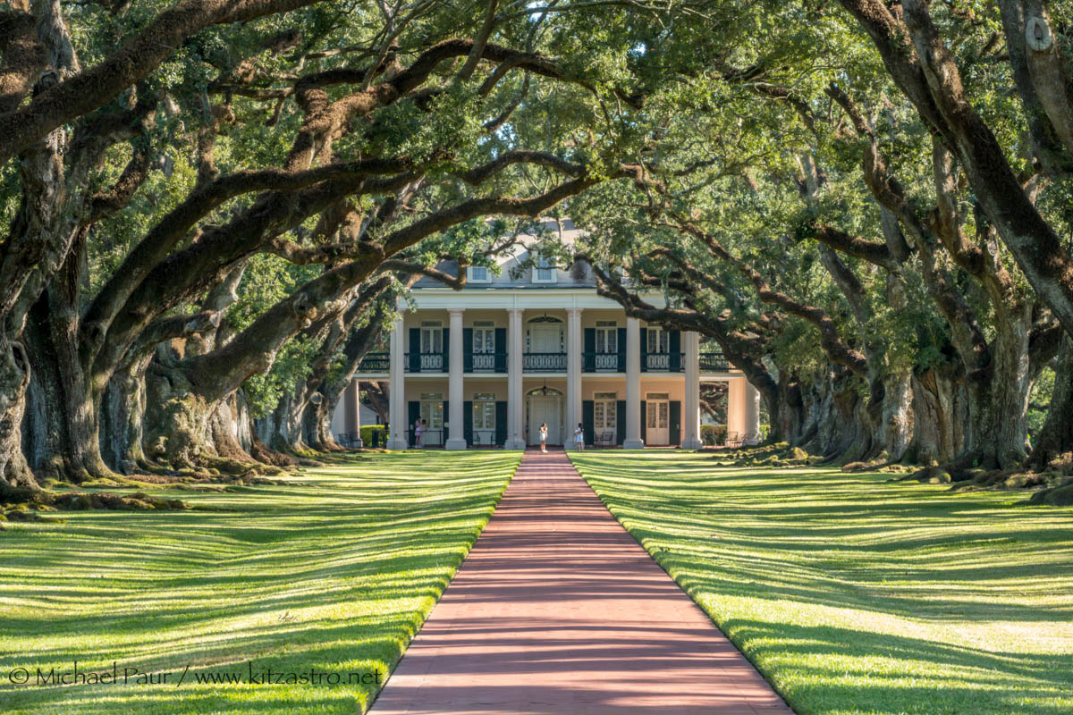 oak alley