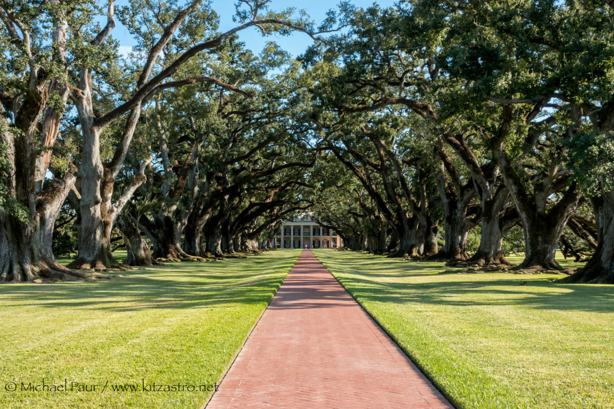 oak alley